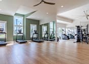 Thumbnail 6 of 56 - A spacious gym with treadmills, elliptical machines, and a weight rack.
