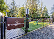 Thumbnail 22 of 27 - A sign that says "The Backyard" is on a fence.