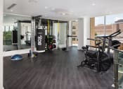 Thumbnail 14 of 44 - a gym with a lot of exercise equipment and a large window