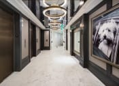 Thumbnail 16 of 44 - a view down a corridor in a building with black walls and white marble floors