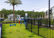 Thumbnail 27 of 29 - The Tyde Dog Park