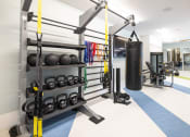 Thumbnail 2 of 29 - The Tyde Fitness