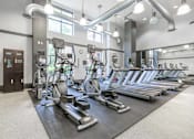 Thumbnail 14 of 20 - a room filled with cardio equipment and weights