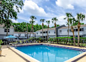 Thumbnail 24 of 25 - A swimming pool surrounded by palm trees and a building in the background.