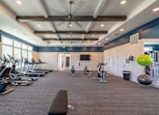 Thumbnail 10 of 49 - A gym with a variety of exercise equipment including treadmills, stationary bikes, and weights.