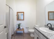 Thumbnail 7 of 18 - Hermitage, TN Apartments - Bathroom With Granite Countertops, European-Style Cabinetry, Oversized Vanity Mirror, Hardwood Inspired Flooring, Toilet, And A Shower Wtih Tub.