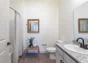 Thumbnail 8 of 10 - a bathroom with a toilet and a sink and a shower