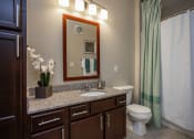 Thumbnail 11 of 30 - a bathroom with a sink and a toilet and a mirror