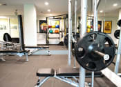Thumbnail 27 of 31 - a gym with weights and other workout equipment