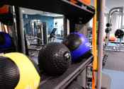 Thumbnail 26 of 31 - a row of dumbbells on a rack in a gym