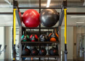 Thumbnail 35 of 47 - a rack with boxing balls and other equipment in a gym