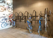 Thumbnail 38 of 47 - a row of bikes hanging on a wall in a bike shop