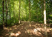 Thumbnail 29 of 30 - Vintage Creekwood Park Outdoor Trails