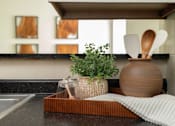 Thumbnail 4 of 35 - A kitchen counter with a plant, wooden utensils, and a jar.