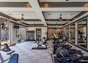 Thumbnail 14 of 28 - Fitness Center