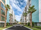 Thumbnail 2 of 48 - an empty street between tall buildings and palm trees