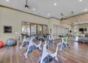 Thumbnail 16 of 30 - Vintage Winter Park cardio spin bike
