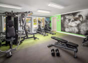 Thumbnail 8 of 31 - a large fitness room with exercise equipment and a large mural on the wall  at Waterview at Rocky Point, Florida, 33634