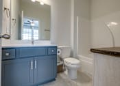 Thumbnail 11 of 14 - A bathroom with a blue cabinet and white toilet.
