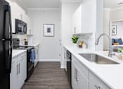 Thumbnail 3 of 29 - A black refrigerator is in a white kitchen with a sink and a plant.