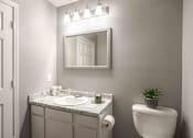 Thumbnail 11 of 30 - a bathroom with a toilet and a sink and a mirror