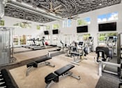 Thumbnail 16 of 30 - A gym with a variety of equipment including treadmills, weights, and exercise machines.