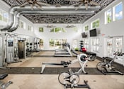 Thumbnail 15 of 30 - A gym with a variety of equipment including treadmills, weights, and exercise bikes.