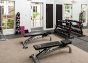 Thumbnail 17 of 30 - A gym with a row of bench presses and a window in the background.