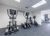 Thumbnail 5 of 22 - A gym with a row of treadmills and elliptical machines at Waterview at Rocky Point, Tampa, FL