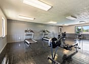 Thumbnail 12 of 18 - a gym with weights and exercise machines on a wood floor