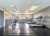 Thumbnail 11 of 18 - a gym with treadmills and weights in a large room with a door