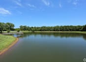 Thumbnail 9 of 11 - A serene lake surrounded by lush greenery under a clear blue sky.