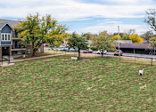 Thumbnail 8 of 29 - A grassy field with a white chair in the middle.