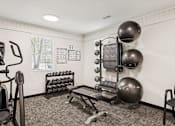 Thumbnail 13 of 17 - A gym room with a variety of equipment including a treadmill, weights, and a bench.