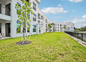 Thumbnail 6 of 71 - A tree in a small garden in front of apartment buildings.