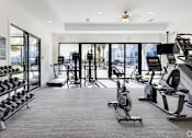 Thumbnail 22 of 49 - A gym with a variety of equipment including treadmills, stationary bikes, and weight racks.at Imperial Crossing Luxury Apartment Homes, Florida
