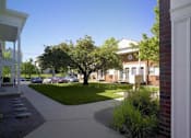 Thumbnail 1 of 13 - A tree in front of a building with a white door.