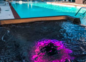 Thumbnail 45 of 166 - Relaxing Swimming Pool With Sundeck at Scott's View, Richmond, VA 23230