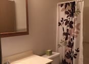 Thumbnail 16 of 17 - Spacious Bathrooms at Park Place Apartments, Coralville, IA