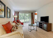 Thumbnail 8 of 18 - Living Room With Oversized Windows And Doors at The Apartments at The Sycamores, Reston, Virginia