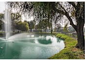 Thumbnail 6 of 22 - Fountain