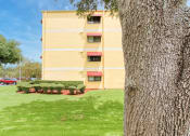 Thumbnail 7 of 24 - outside of Casa San Pablo and a large mature tree trunk