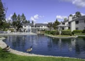 Thumbnail 5 of 37 - Lakeside Fountain