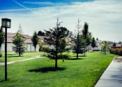 Thumbnail 12 of 31 - Large Open Space with Landscaping