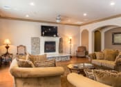 Thumbnail 28 of 37 - Clubhouse Area with Furniture