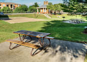 Thumbnail 16 of 19 - Volleyball court surrounded by picnic tables