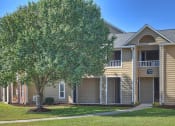 Thumbnail 18 of 30 - Shade Trees at apartment complex