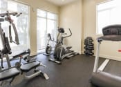 Thumbnail 28 of 30 - fully-equipped fitness center at East Village