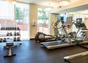 Thumbnail 9 of 18 - cardio and weight machines at fitness center