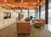 Thumbnail 13 of 24 - large sitting area with TVs beside floor to ceiling windows